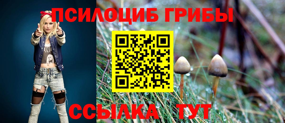 Галлюциногенные грибы Cubensis Реутов